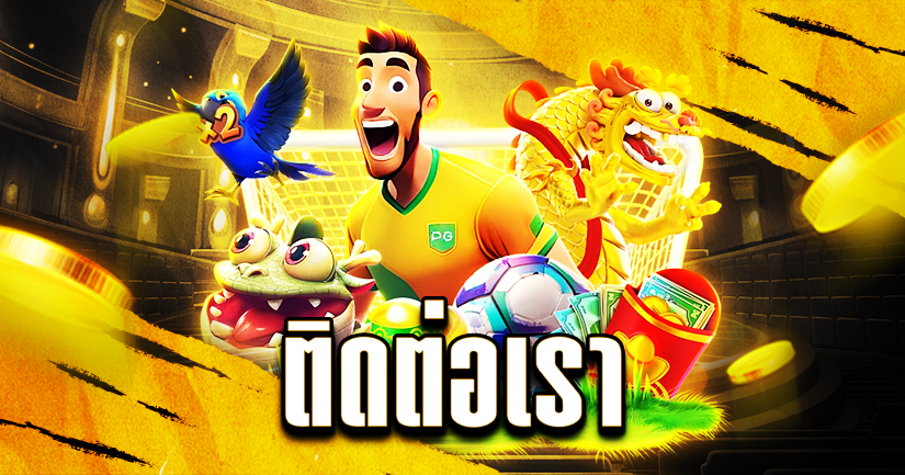 ติดต่อเรา